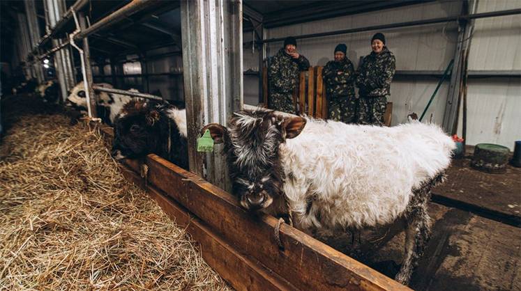 В мясе якутских коров найдено рекордное количество Омега-3